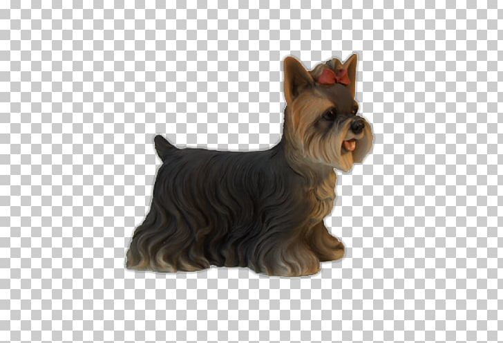 Yorkshire Terrier Scottish Terrier Cairn Terrier Australian Silky Terrier Norwich Terrier PNG, Clipart, Breed, Carnivoran, Companion Dog, Dog Breed, Dog Like Mammal Free PNG Download