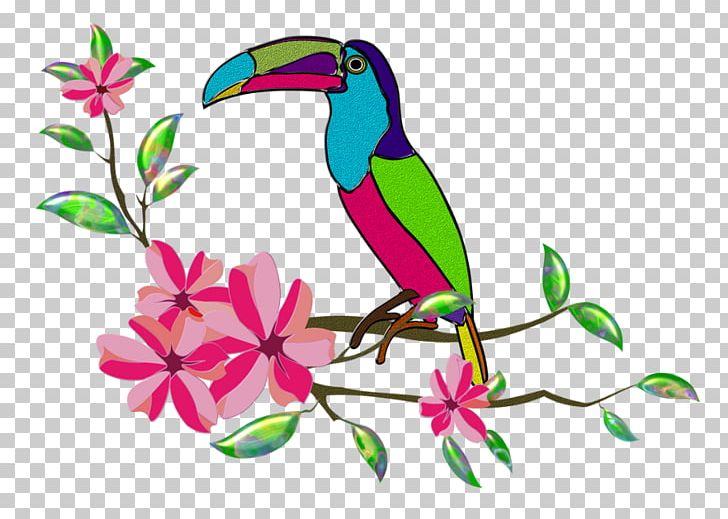 Beak Toucan Drawing PNG, Clipart, Art, Beak, Bird, Branch, Drawing Free PNG Download