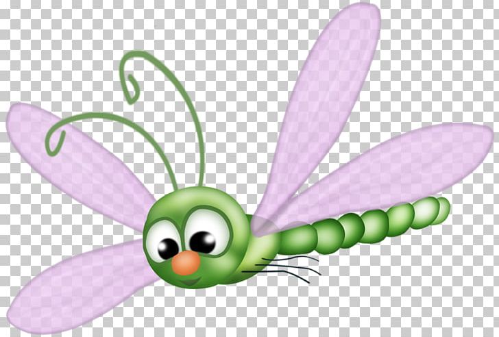 Butterfly Insect PNG, Clipart, Big, Big Eyes, Butterflies And Moths, Cartoon, Cute Free PNG Download