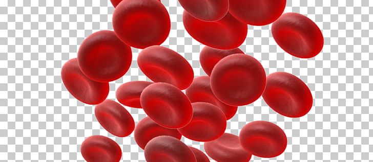 Close-up PNG, Clipart, Berry, Blood Cells, Closeup, Close Up, Red Free PNG Download