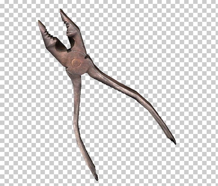 DayZ Hand Tool Needle-nose Pliers PNG, Clipart, Beak, Bird, Can Openers, Channellock, Dayz Free PNG Download