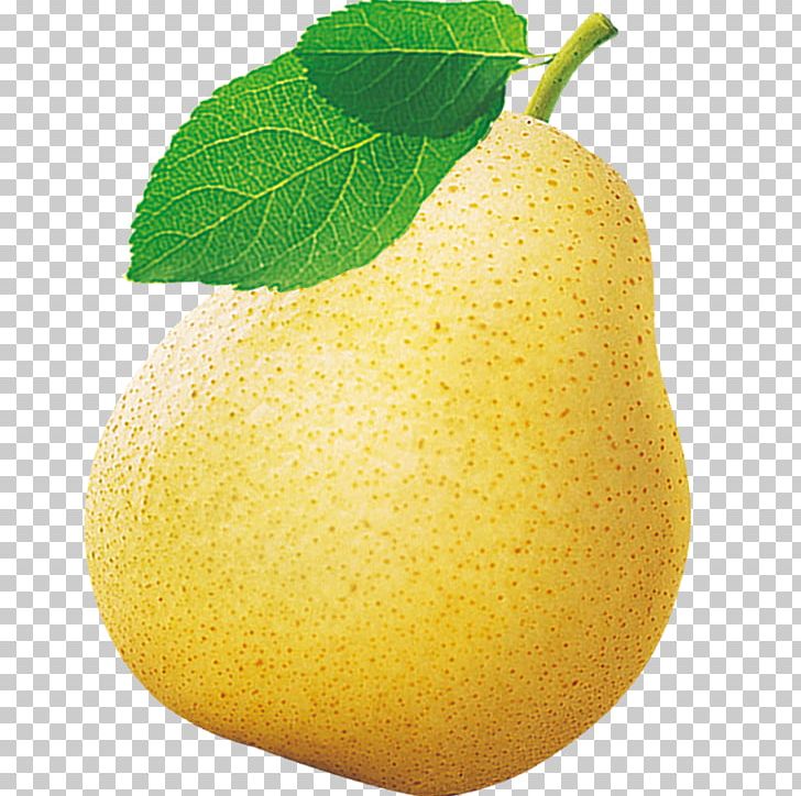 Asian Pear Citron Lemon Fruit PNG, Clipart, Apple, Asian Pear, Citric Acid, Citron, Citrus Free PNG Download
