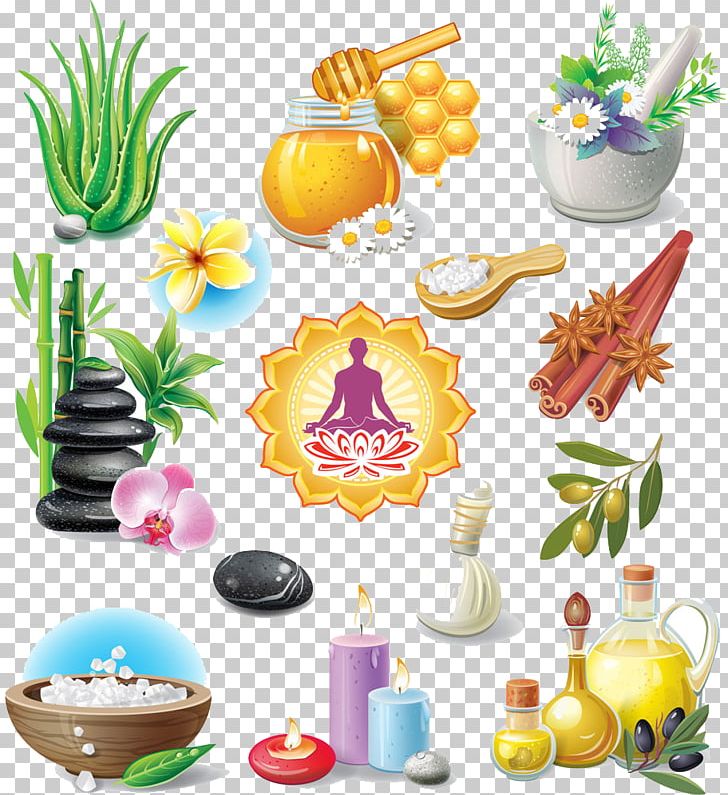 Ayurveda Encyclopedia Alternative Health Services Medicine Herbalism PNG, Clipart, Body Parts, Care, Cuisine, Flower, Food Free PNG Download