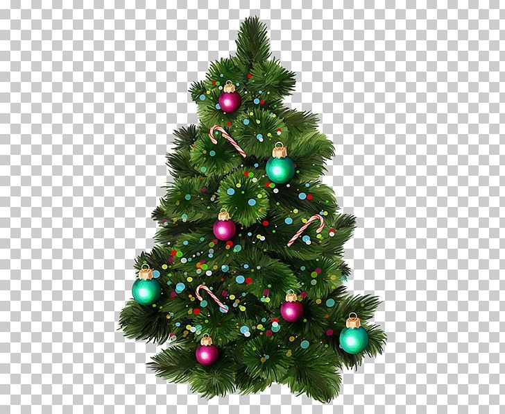 Christmas Tree Brush New Year Tree PNG, Clipart, Brush, Christmas, Christmas Decoration, Christmas Frame, Christmas Lights Free PNG Download