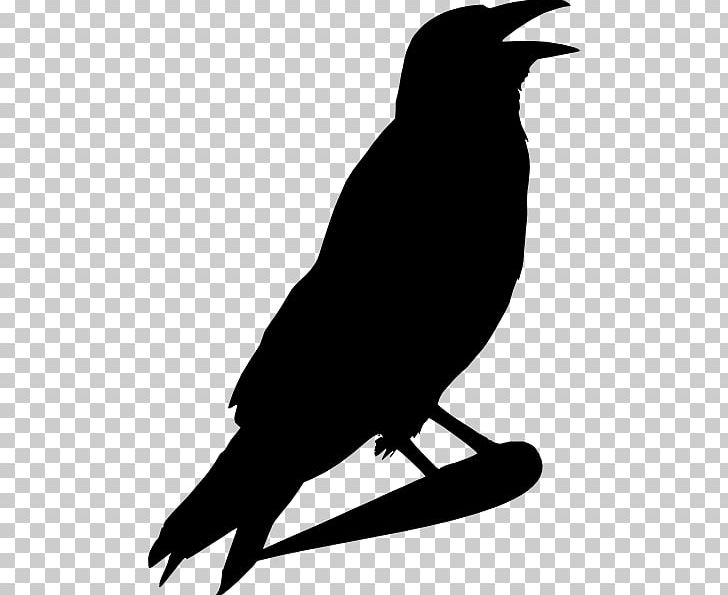Crow Common Raven PNG, Clipart, American Crow, Animals, Beak, Bird, Black And White Free PNG Download