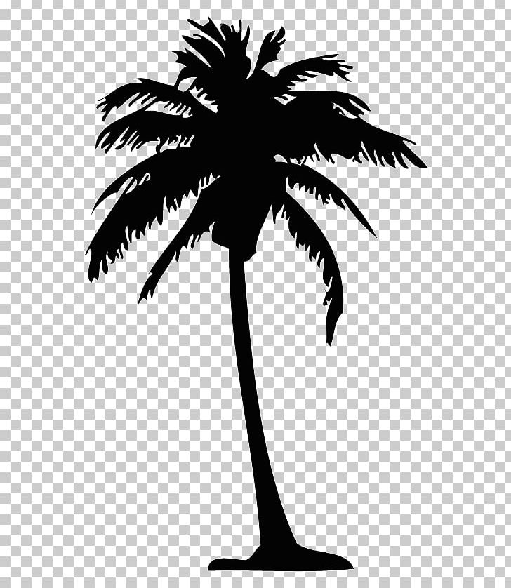 Arecaceae Silhouette Drawing Tree PNG, Clipart, Animals, Arecaceae, Arecales, Black And White, Borassus Flabellifer Free PNG Download
