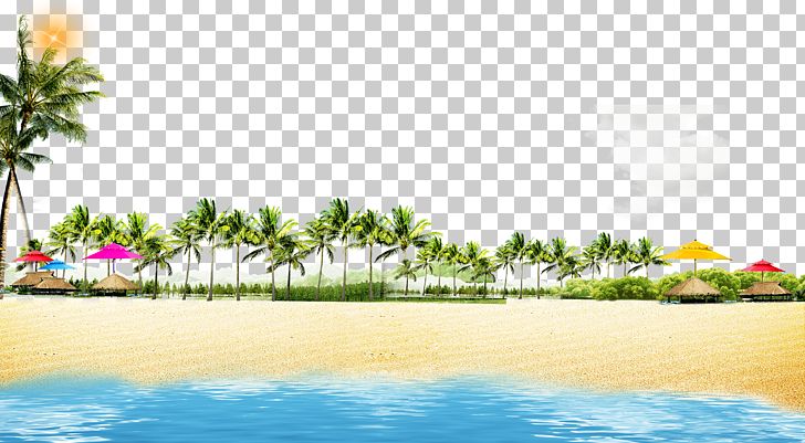 Beach Coast Poster PNG, Clipart, Arecaceae, Computer Wallpaper, Forest, Fruit Nut, Grass Free PNG Download