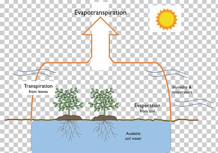 Evaporation And Evapotranspiration: Measurements And Estimations Water PNG, Clipart, Angle, Area, Crop, Diagram, Evaporation Free PNG Download