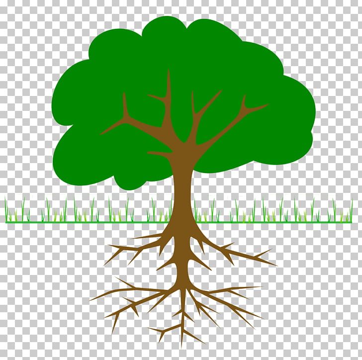 The Great Kapok Tree PNG, Clipart, Branch, Christmas Tree, Download, Family Tree, Grass Free PNG Download