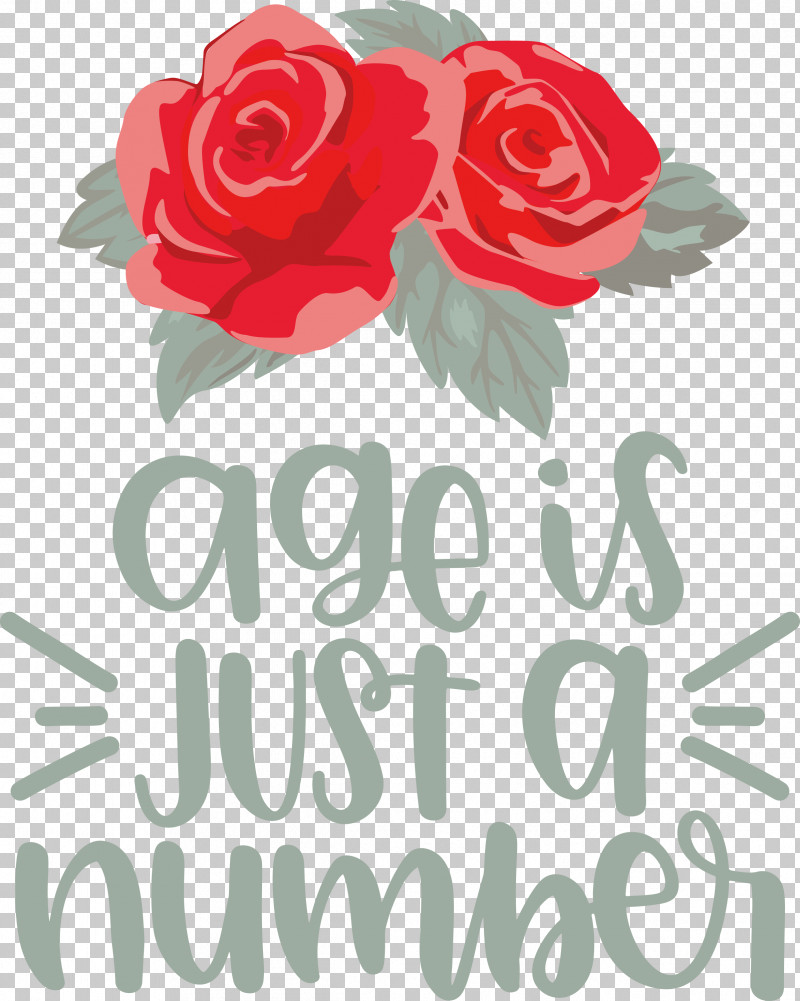 Birthday Age Is Just A Number PNG, Clipart, Birthday, Cut Flowers, Floral Design, Flower, Garden Free PNG Download