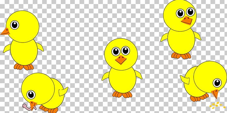 Chicken Cartoon Kifaranga PNG, Clipart, Animals, Area, Beak, Bird, Chick Free PNG Download