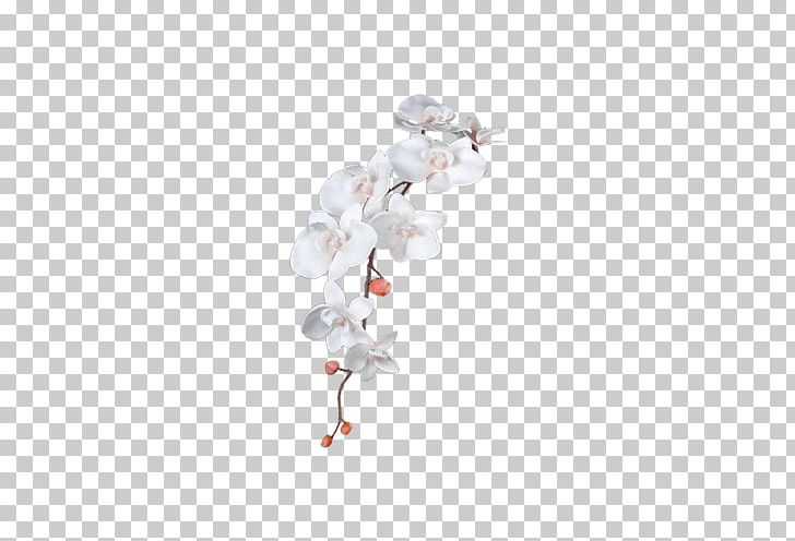 Flower Leaf PNG, Clipart, Bird, Branch, Branches, Christmas Decoration, Computer Wallpaper Free PNG Download