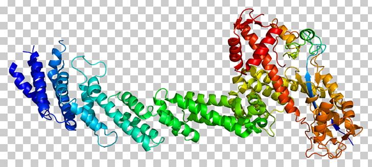 RBX1 CUL1 Protein Cullin Ubiquitin Ligase PNG, Clipart, Art, Computer Wallpaper, Cul, Cul1, Cullin Free PNG Download