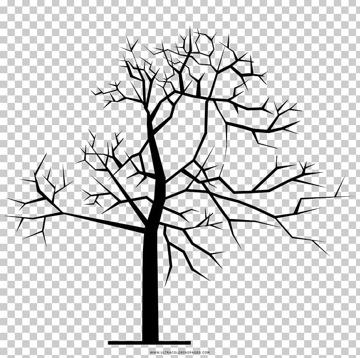 Twig Coloring Book Drawing Tree PNG, Clipart, Artwork, Black And White ...