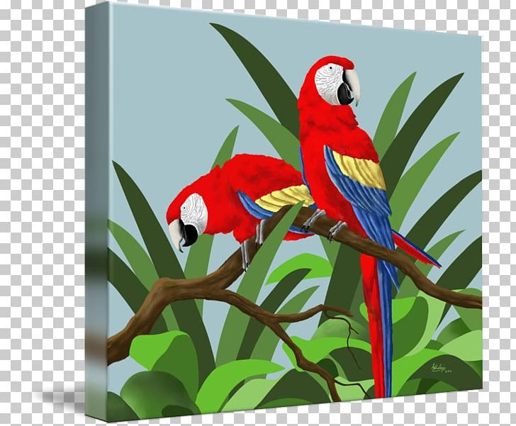 Budgerigar Scarlet Macaw Parrot Blue-and-yellow Macaw PNG, Clipart, Animals, Beak, Bird, Blueandyellow Macaw, Budgerigar Free PNG Download