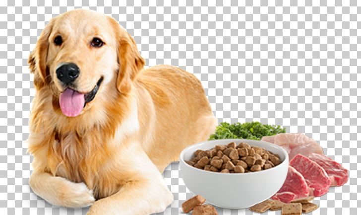 Dog Food Cat Food Pet Food PNG, Clipart, Animals, Cat, Cat Food, Companion Dog, Dog Free PNG Download