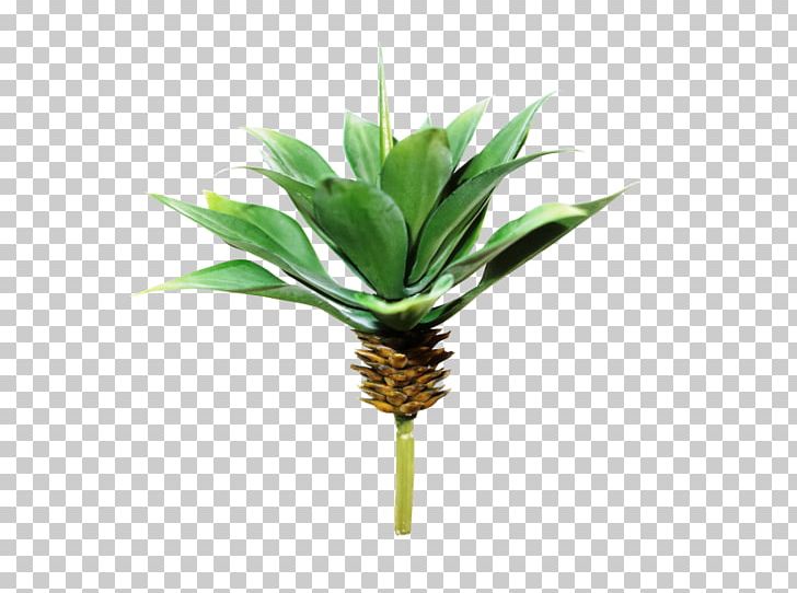 Plant Tree Agave Arecaceae Artificial Flower PNG, Clipart, Agave, Arecaceae, Arecales, Artificial Flower, Box Free PNG Download