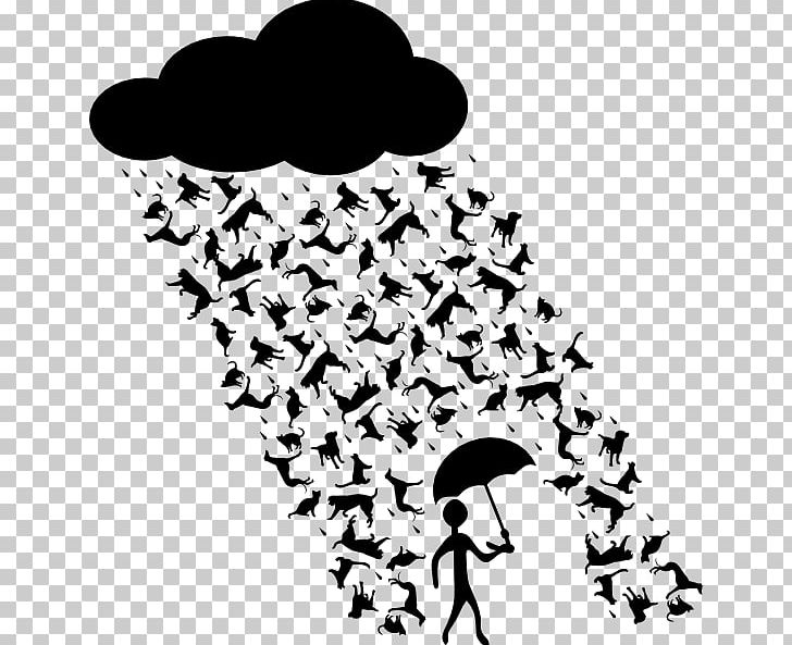 Cats & Dogs Cats & Dogs Mouse Rain PNG, Clipart, Black, Black And White, Branch, Cat, Cat Play And Toys Free PNG Download