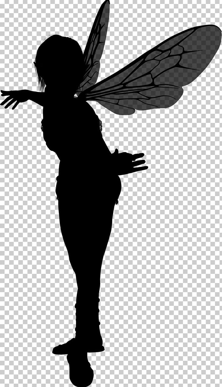 Silhouette Fairy Visual Arts Photography PNG, Clipart, Animals, Art, Black And White, Brazil, Brush Free PNG Download