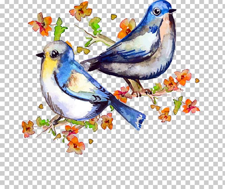 Watercolor Painting Drawing Photography PNG, Clipart, Art, Artwork, Beak, Bird, Bluebird Free PNG Download