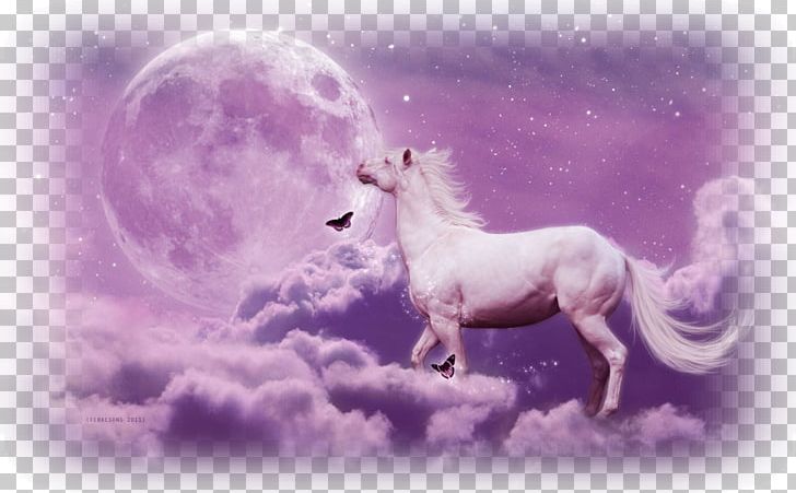 Desktop Unicorn Arabian Horse PNG, Clipart, Animal, Arabian Horse, Bleach, Computer, Computer Wallpaper Free PNG Download