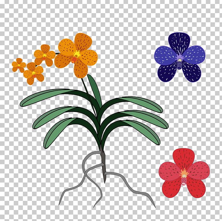 Orchids Singapore Orchid Computer Icons PNG, Clipart, Art, Artwork, Cattleya Orchids, Computer Icons, Cut Flowers Free PNG Download