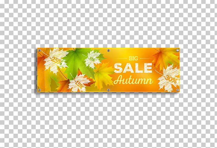 Flower PNG, Clipart, Flower, Nature Free PNG Download