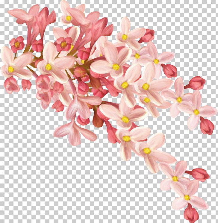 Osmanthus Cake Flower PNG, Clipart, Blossom, Branch, Cherry Blossom, Clip Art, Color Free PNG Download