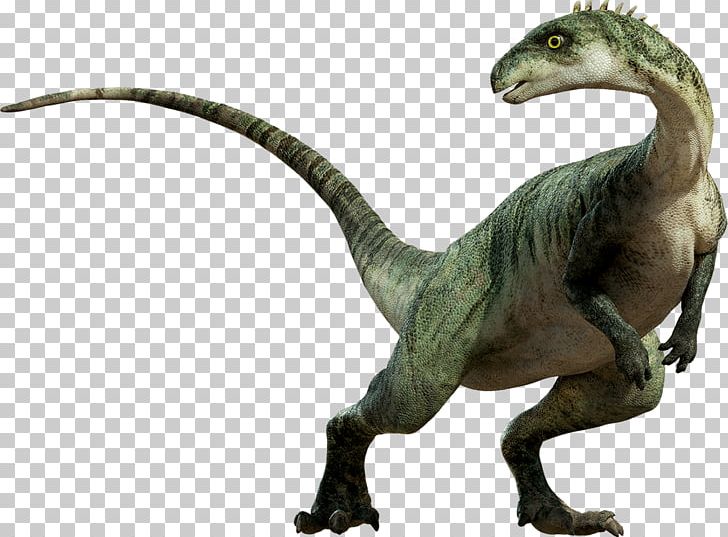 Dinosaur Tyrannosaurus PNG, Clipart, Dinosaur, Dinosaur Png, Edmontonia, Edmontosaurus, Extinction Free PNG Download