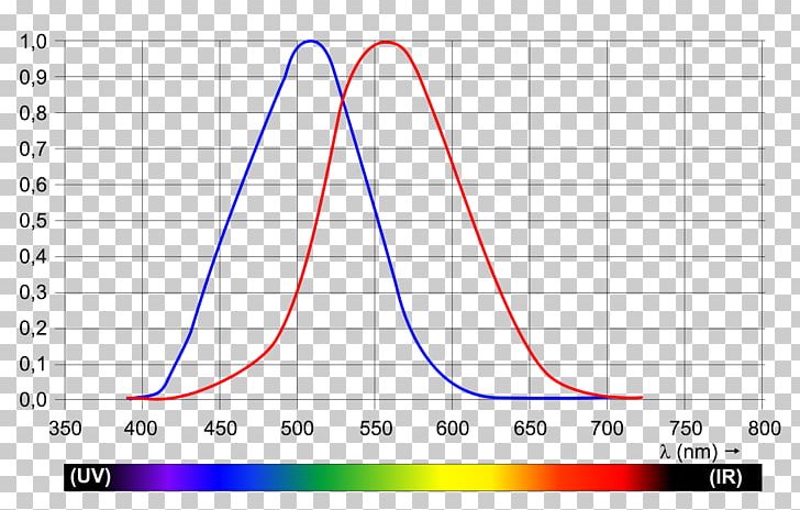 Light Photopic Vision Wavelength Luminosity Function Color PNG, Clipart, Angle, Area, Circle, Color, Cone Cell Free PNG Download