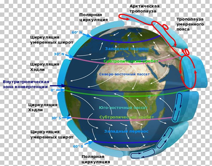 Southern Hemisphere Northern Hemisphere Prevailing Winds Trade Winds PNG, Clipart, Atmospheric Circulation, Circle, Climate, Diagram, Earth Free PNG Download