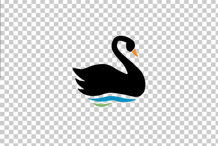 The Black Swan: The Impact Of The Highly Improbable Duck Bird Black Swan Theory PNG, Clipart, Anatidae, Animal, Animals, Beak, Bird Free PNG Download