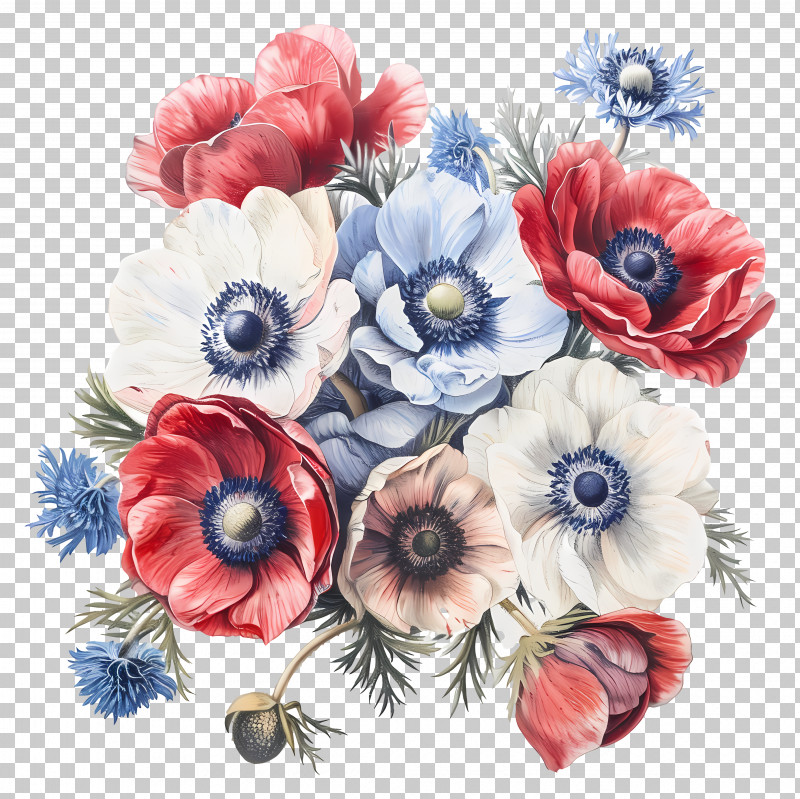 Vintage Flowers - Colorful Mixed Anemone Bouquet Illustration PNG