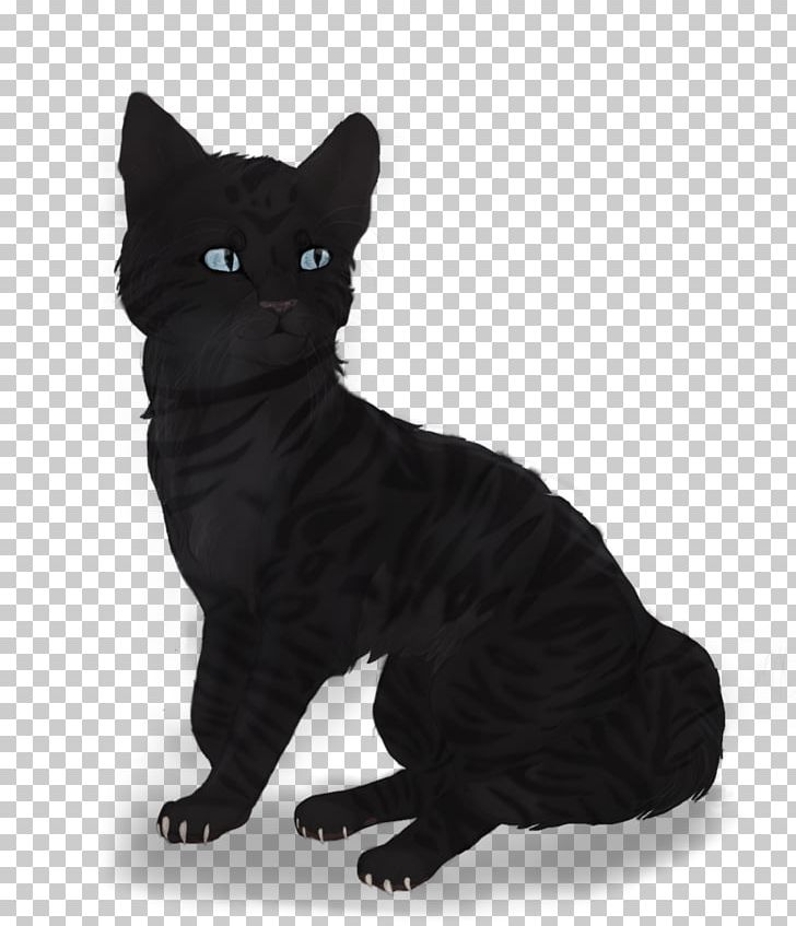 Bombay Cat Manx Cat European Shorthair American Wirehair Korat PNG, Clipart, American Wirehair, Asian, Black, Black And White, Black Cat Free PNG Download