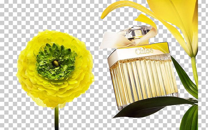 Perfume Poster Cosmetics Floral Design PNG, Clipart, Bottle, Chanel Perfume, Col, Cosmetics, Cut Flowers Free PNG Download