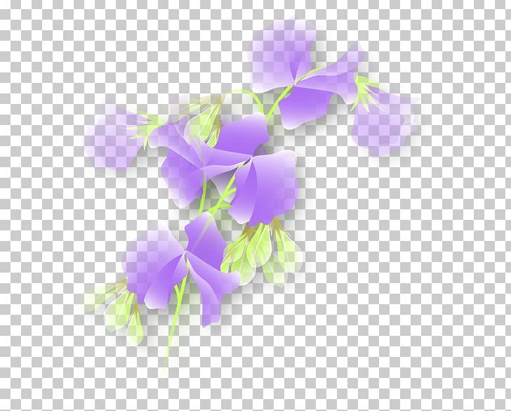 Sweet Pea Purple Plant Stem Violet PNG, Clipart, Flora, Flower, Flowering Plant, Lilac, Moth Orchid Free PNG Download