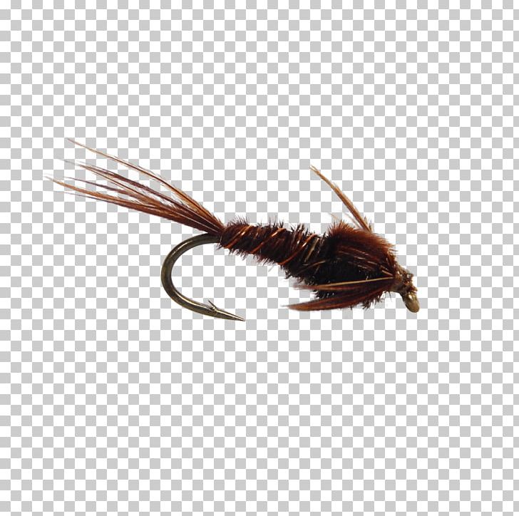 Artificial Fly Fly Fishing Pheasant Tail Nymph Fly Tying PNG, Clipart, Adams, Artificial Fly, Brook Trout, Dry Fly Fishing, Fishing Free PNG Download
