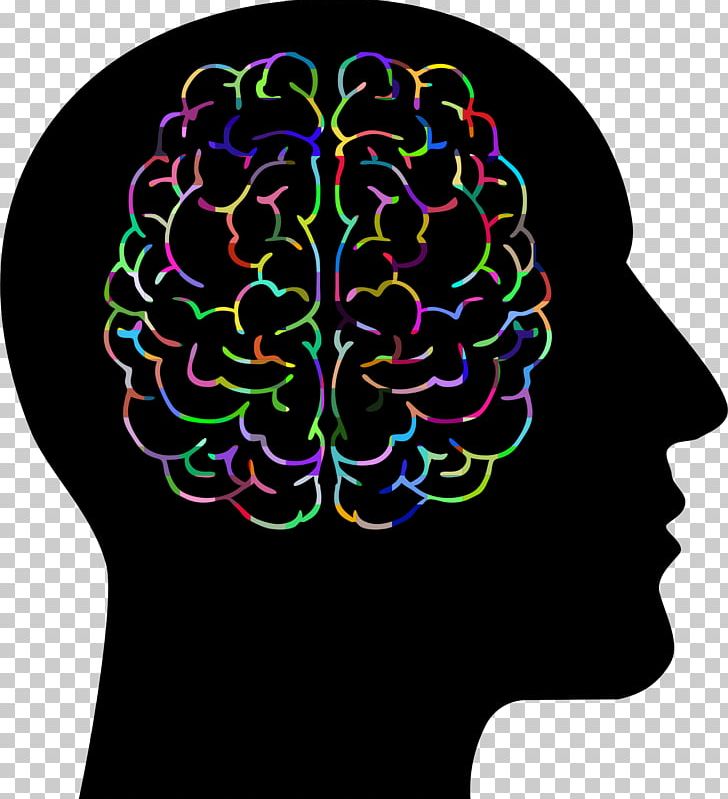 Human Brain Human Head PNG, Clipart, Brain, Color, Computer Icons, Homo Sapiens, Human Behavior Free PNG Download