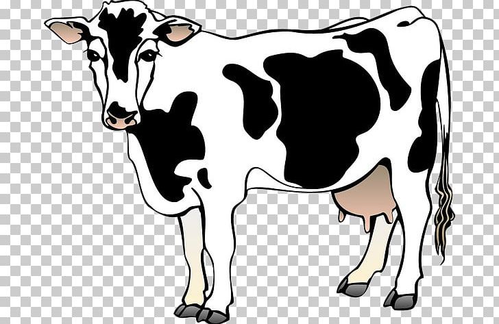 Holstein Friesian Cattle Dairy Cattle Free Content PNG, Clipart, Animals, Black, Cartoon Cow, Cattle, Cattle Like Mammal Free PNG Download