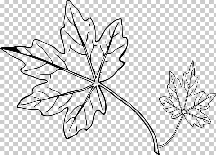 Maple Leaf Autumn Leaf Color PNG, Clipart, Angle, Artwork, Autumn, Autumn Leaf Color, Black And White Free PNG Download