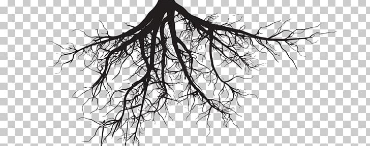 Root Portable Network Graphics Tree Trunk PNG, Clipart, Artwork, Black And White, Branch, Desktop Wallpaper, Drawing Free PNG Download