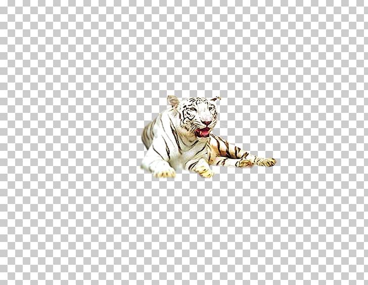 White Tiger PNG, Clipart, Adobe Illustrator, Animal, Animals, Big Cat, Big Cats Free PNG Download