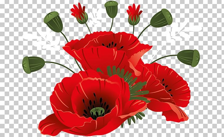 Flower PNG, Clipart, Annual Plant, Coquelicot, Cut Flowers, Encapsulated Postscript, Floral Design Free PNG Download
