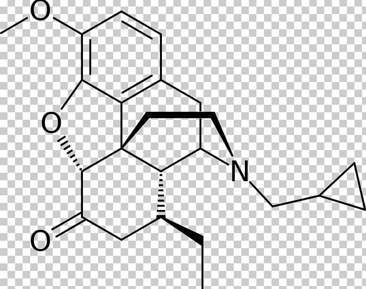 Hydromorphone Opioid Oxymorphone Drug Hydrocodone PNG, Clipart, Albuterol, Analgesic, Angle, Area, Biochemistry Free PNG Download