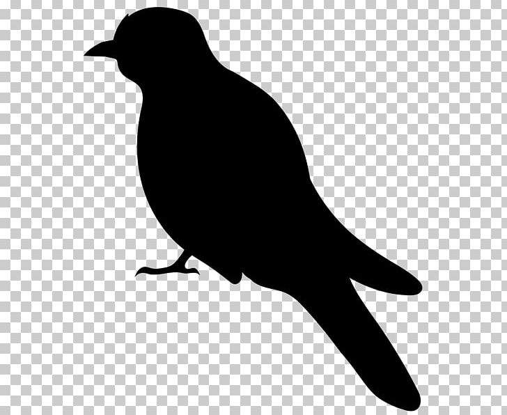 Bird Silhouette PNG, Clipart, Animals, Beak, Bird, Bird Clipart, Bird Silhouette Free PNG Download