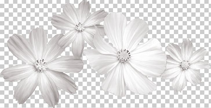 White Flower PNG, Clipart, Black, Black And White, Chrysanthemum, Cut Flowers, Flower Free PNG Download