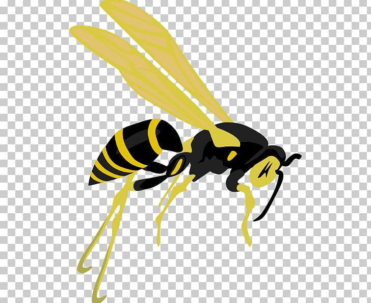 Hornet Bee Wasp PNG, Clipart, Arthropod, Bee, Download, Fly, Free Content Free PNG Download