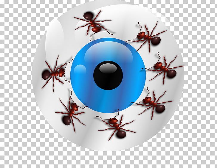 Insect Invertebrate Pest Christmas Ornament Eye PNG, Clipart, Animals, Ants, Christmas, Christmas Ornament, Eye Free PNG Download