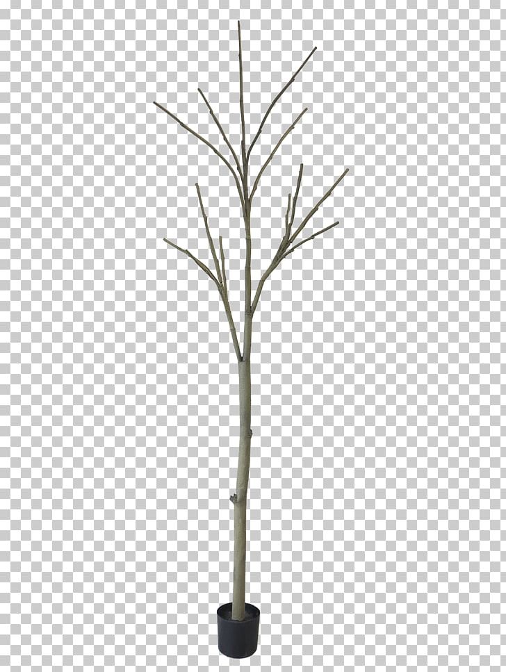 Plant Stem Blossom Leaf Online Shopping PNG, Clipart, Assortment Strategies, Blossom, Branch, D Van Hoff Ontwerper, Fruit Free PNG Download