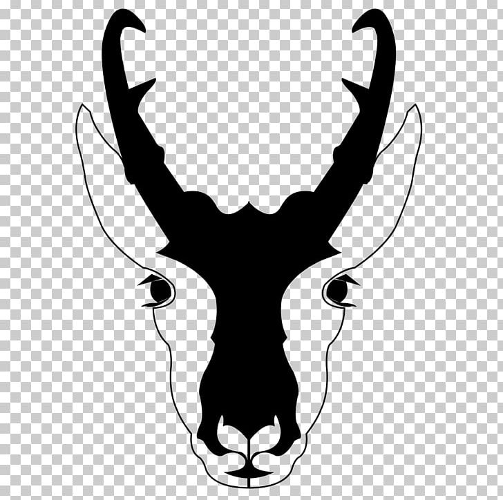 Pronghorn Deer Antelope PNG, Clipart, Animal, Animals, Antelope, Antler, Black And White Free PNG Download